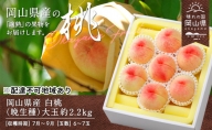岡山県産 白桃（晩生種）大玉 約2.2kg（6～7玉）【配達不可：離島】