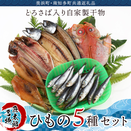 【美浜町・南知多町共通返礼品】年間100万枚販売！魚太郎名物【とろさば】入り・自家製ひもの5種セット★鮮度にこだわる魚屋が丁寧に手作業で作りました！ ※北海道・沖縄・離島への配送不可 1055160 - 愛知県美浜町