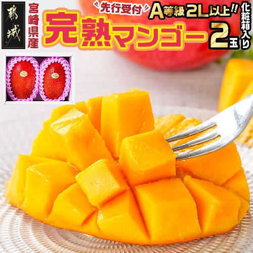 【先行受付!】宮崎県産完熟マンゴー(A等級) 【2L以上×2玉】≪2027年5月中旬以降順次お届け≫_22-0101 1055437 - 宮崎県都城市