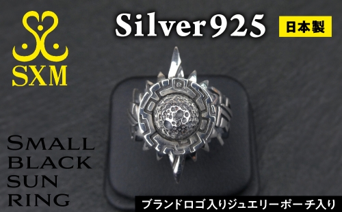 Small  black  sun  ring 1055486 - 茨城県常総市