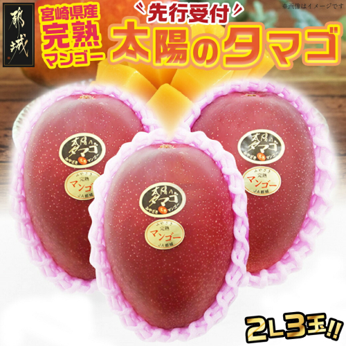 【先行受付!】宮崎県産完熟マンゴー 太陽のタマゴ【2L×3玉】化粧箱入り≪2026年5月中旬以降順次お届け≫_AF-0116 1055490 - 宮崎県都城市