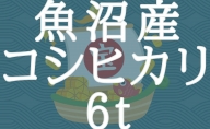 新潟県魚沼産コシヒカリ 5kg×50袋 ※24回定期便　安心安全なヤマトライス　H074-243