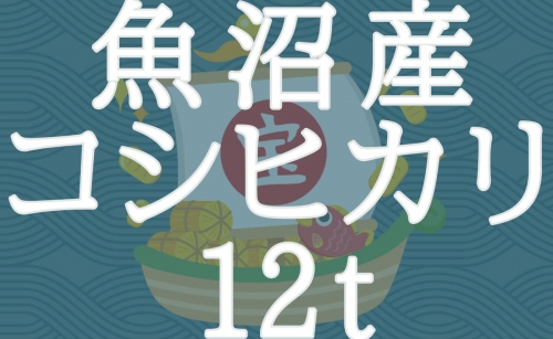 新潟県魚沼産コシヒカリ 5kg×100袋 ※24回定期便　安心安全なヤマトライス　H074-244 | au PAY ふるさと納税