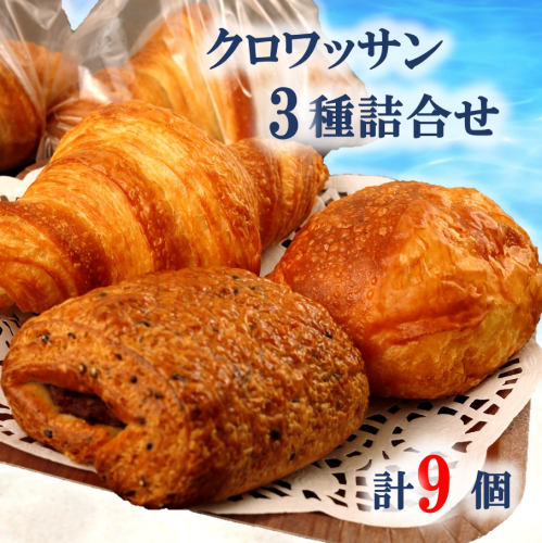 海辺のパン屋「麦正」からお届け クロワッサン3種詰合せ 計9個_2248R 1055981 - 大分県国東市