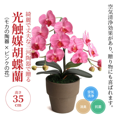 綺麗で丈夫な三河陶器で贈る光触媒胡蝶蘭小輪１本立（モカの陶器×ピンクの花）H100-082 105599 - 愛知県碧南市