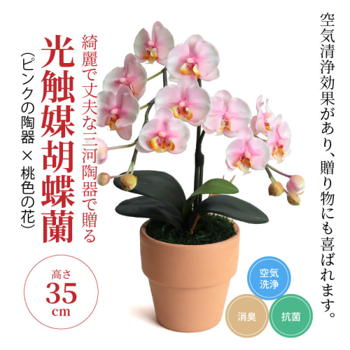 綺麗で丈夫な三河陶器で贈る光触媒胡蝶蘭小輪１本立（ピンクの陶器×桃色の花）H100-080 105600 - 愛知県碧南市