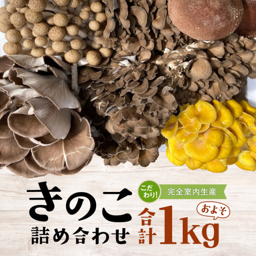 きのこ の 詰め合わせ Sサイズ ( 約1kg ) （茨城県共通返礼品：城里町） キノコ セット 野菜 低カロリー ダイエット デトックス バラエティ セット 新鮮 1056723 - 茨城県牛久市