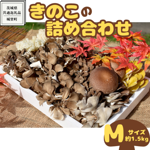 きのこ の 詰め合わせ Mサイズ ( 約1.5kg ) （茨城県共通返礼品：城里町） キノコ セット 野菜 低カロリー ダイエット デトックス バラエティ セット 新鮮 1056725 - 茨城県牛久市