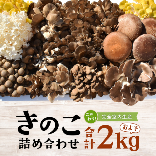 きのこ の 詰め合わせ Lサイズ( 約2kg ) （茨城県共通返礼品：城里町） キノコ セット 野菜 低カロリー ダイエット デトックス バラエティ セット 新鮮 1056727 - 茨城県牛久市