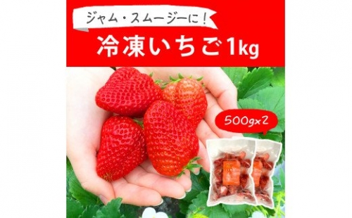 摘みたて！便利な小分け！冷凍いちご1kg(500g×2)_BI08 105673 - 茨城県古河市