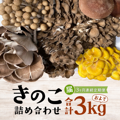  【 3ヶ月連続定期便 】きのこ の 詰め合わせ Sサイズ ( 約1kg ) （茨城県共通返礼品：城里町） キノコ セット 野菜 低カロリー ダイエット デトックス バラエティ セット 新鮮 1056754 - 茨城県牛久市