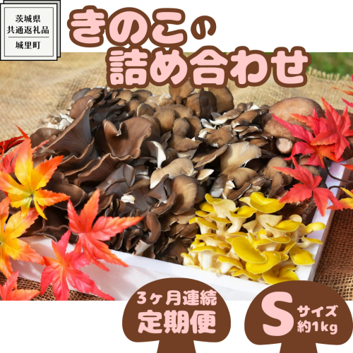  【 3ヶ月連続定期便 】きのこ の 詰め合わせ Sサイズ ( 約1kg ) （茨城県共通返礼品：城里町） キノコ セット 野菜 低カロリー ダイエット デトックス バラエティ セット 新鮮 1056754 - 茨城県牛久市