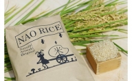 新米　農薬節減米　愛知県産　にこまる　白米１０ｋｇ　12カ月定期便
