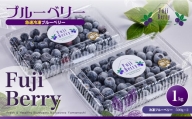 Fuji Berry 急速冷凍ブルーベリー1kg NSAA008