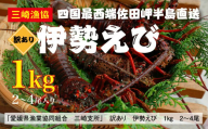 【先行予約】【数量限定】【訳あり】産地直送！活き伊勢えび 約1kg（2～4尾）※北海道・東北地方・沖縄・離島への配送不可※2024年9月上旬～11月上旬頃に順次発送予定