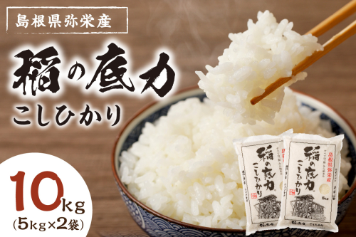 【令和6年産】浜田産「稲の底力こしひかり」10kg お取り寄せ 特産 お米 精米 白米 ごはん ご飯 コメ 新米 新生活 応援 準備 10キロ 【120】 1057584 - 島根県浜田市