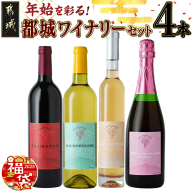 日本ワイン ソラリス 千曲川 メルロー 750ml×6本 ワイン 赤ワイン