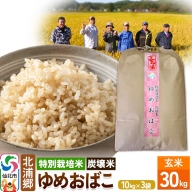 【特別栽培米 炭壌米 ゆめおばこ】令和5年産 玄米 10kg 3袋