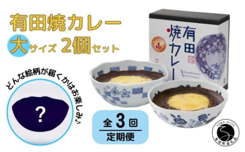 【3回定期便】有田焼カレー(大)【器いろいろ】2個セット JR九州駅弁グランプリ テレビ番組全国駅弁ランキング１位 F45-1 1058699 - 佐賀県有田町
