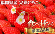 [ギフトに最適]いただきいちご園の食べ比べセット 厳選2品種 化粧箱入り