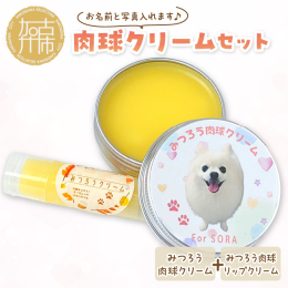 うちの子専用みつろう肉球クリームの20gタイプとリップタイプのお得なセットです。セミオーダーですので、可能な限りご要望にお応えしてデザイン致します。ご寄附後、メール等で打ち合わせを進めさせていただきま