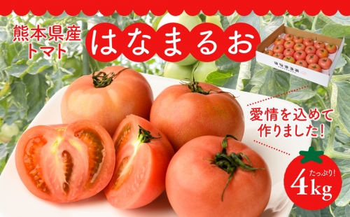 熊本県産 トマト はなまるお 4kg 1059435 - 熊本県八代市