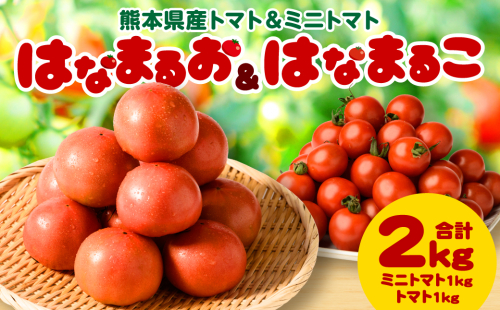 先行予約】熊本県産トマト 1kg ＆ ミニトマト 1kg 合計2kg はなまるお