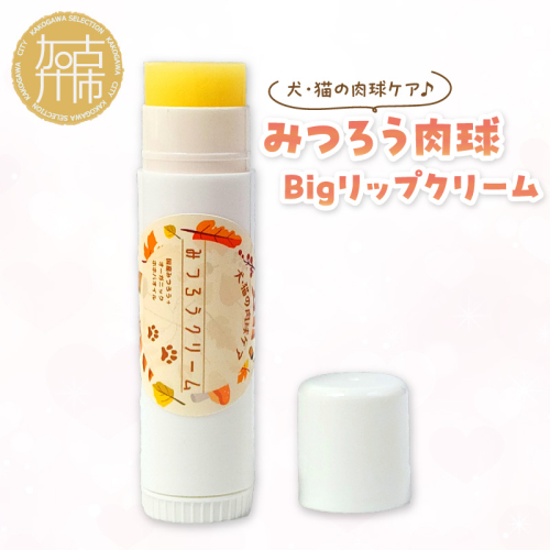 みつろう肉球クリーム Bigリップクリーム 《 ペットグッズ 犬 ケア みつろう リップクリーム クリーム ホホバオイル 》【2400N13310】 1059602 - 兵庫県加古川市