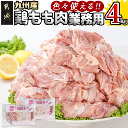 【ふるさと納税】【業務用】九州産鶏モモ4kg_13-1502