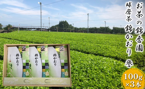 球磨茶【錦かおり：誉】玉緑茶 お茶 茶葉  10597 - 熊本県錦町