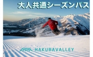 HAKUBA VALLEY 10スキー場共通 大人シーズンパス[Q0635-01]