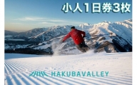HAKUBA VALLEY 10スキー場共通こども1日券 3枚【F0057-01】