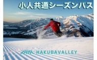HAKUBA VALLEY 10スキー場共通 こどもシーズンパス【M0335-01】