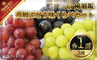 [No.5657-3206]須坂の高級葡萄　シャインマスカット・ナガノパープル・クイーンルージュ®三種味くらべセット《信州グルメ市場》■2024年発送■※9月上旬頃～9月下旬頃まで順次発送予定