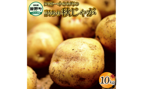 【四国一小さなまちのじゃがいも】★令和５年１２月中旬発送開始★ 大野台地で採れた『 令和５年産 秋じゃが 』 １０ｋｇ　～ 訳あり ～ 1060525 - 高知県田野町