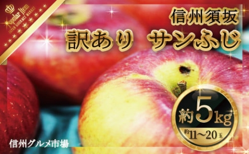 [No.5657-3587]訳あり サンふじ約5kg（約11～20玉）家庭用《信州グルメ市場》■2024年～2025年発送■※11月中旬頃～1月下旬頃まで順次発送予定