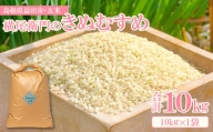 横尾衛門のきぬむすめ 玄米 10kg【米 お米 玄米 ブランド米 きぬむすめ 10kg 1袋】