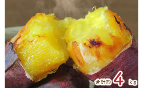 【2025年3月中旬より順次発送】★訳あり★紅はるか冷凍焼き芋約3.7kg＋おまかせ品種さつまいも　合計約4kg(EY-25)