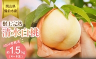【2024年発送】岡山県備前市産　樹上完熟白桃「清水白桃」約1.5kg（4～6玉入）