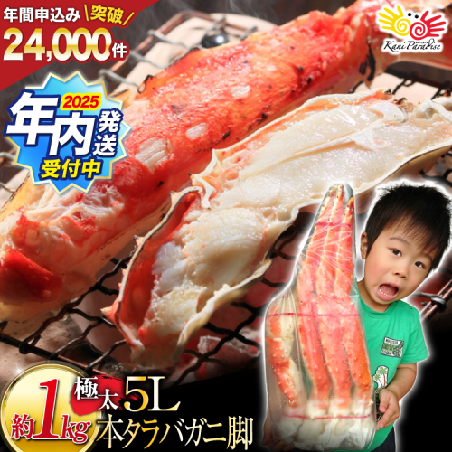【2025 年内配送】 本 タラバガニ 脚 ボイル済 約1kg 極太5Lサイズ [カネダイ 宮城県 気仙沼市 20564323] カニ かに 蟹 たらばがに たらば蟹 タラバ蟹 たらば タラバ ボイル 106266 - 宮城県気仙沼市