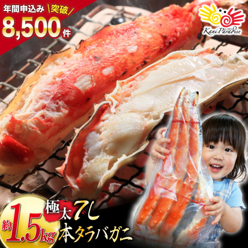 本 タラバガニ 脚 ボイル済 約1.5kg 極太7Lサイズ [カネダイ 宮城県 気仙沼市 20564326] カニ かに 蟹 たらばがに たらば蟹 タラバ蟹 たらば タラバ ボイル 106269 - 宮城県気仙沼市
