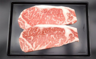 【高島屋選定品】矢野畜産あか牛ステーキ・ハンバーグ 合計1.15kg