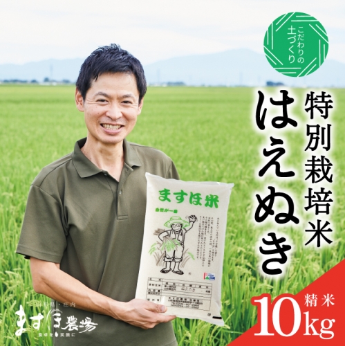 SA1810　令和5年産【精米】　特別栽培米『はえぬき』 10kg(5kg×2袋) MA