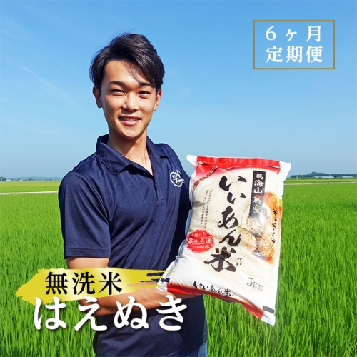 SE0098　【6回定期便】無洗米はえぬき　5kg×6回(計30kg)　農家直送『いいあん米』AG