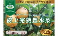 【樹上完熟】和梨「豊水」　５ｋｇ　８～１６玉（直送便）　0148-2406