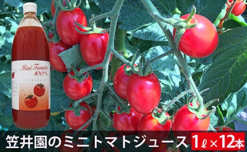 ミニトマト「アイコ」で作ったトマトジュース12本セット（ご自宅用） 106420 - 北海道仁木町