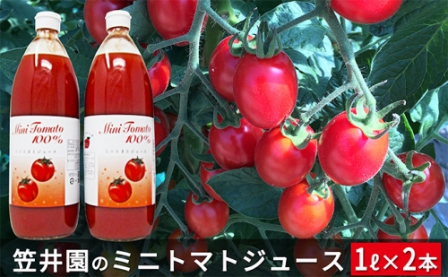 ミニトマト「アイコ」で作ったトマトジュース2本セット 106422 - 北海道仁木町