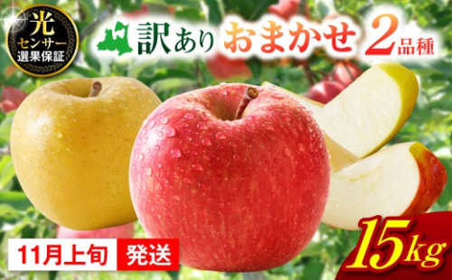 【2026年11月上旬発送】 【訳あり】旬の美味しいりんご 約15kg 青森産 【おまかせ2品種】 1064456 - 青森県五所川原市