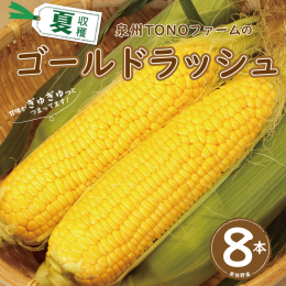 地元農家が土作りからこだわりの栽培をしております。甘味が強く、すごく美味しい品種です。早朝に収穫したものをその日に発送いたします。 【注意事項】 生産：泉佐野市 ※発送日の指定は承っておりません。但し