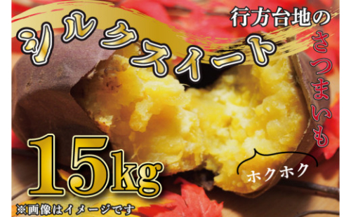 CU-191 【訳あり】無選別　行方台地のさつまいも　シルクスイート15kg 1065274 - 茨城県行方市